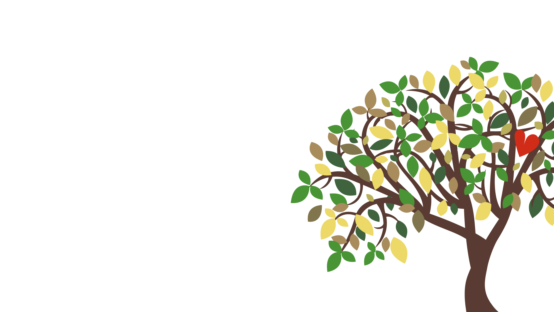 Main Hero image desktop